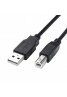 CODEGEN CPM13 USB 2.0 YAZICI KABLOSU 3M