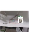 Lenovo Ideapad A10 Power Switch Tetik Start Buton